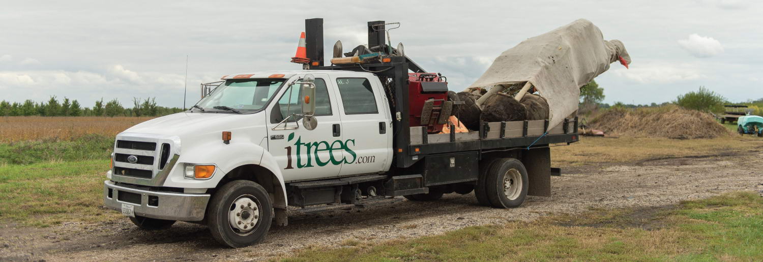 iTrees.com Truck Header