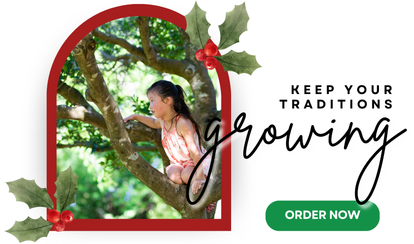 Picture of young child in a tree they just climbed with holiday graphics.
