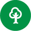 Tree Icon