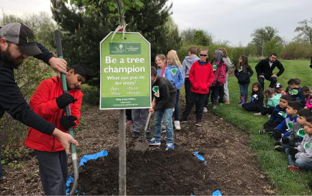 Waubonsee Community College Tree Campus USA