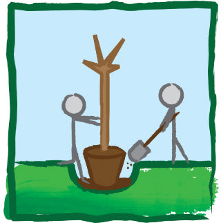 Tree Care Info Image 2