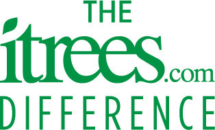 The iTrees.com Difference Logo