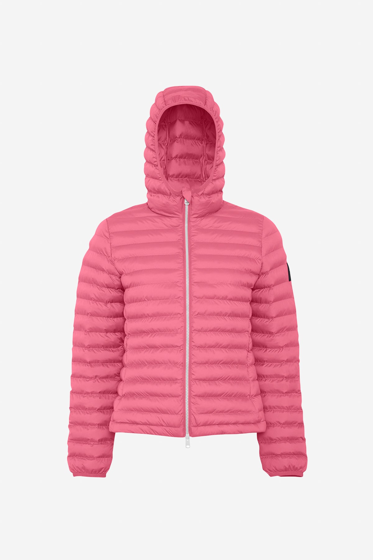 VESTE ATLANTIC ROSE