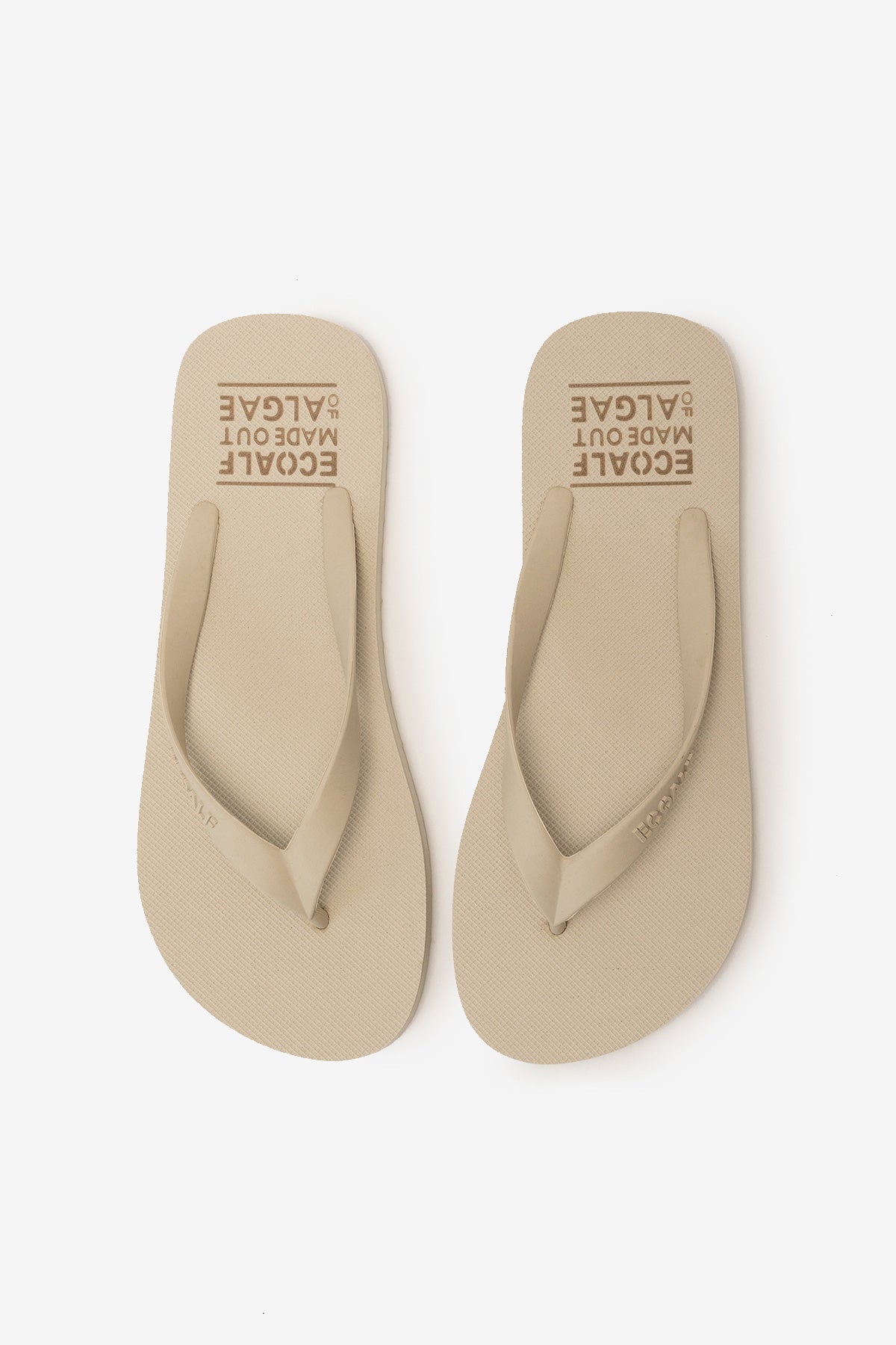 FLIP FLOPS ALGAE BEIGE