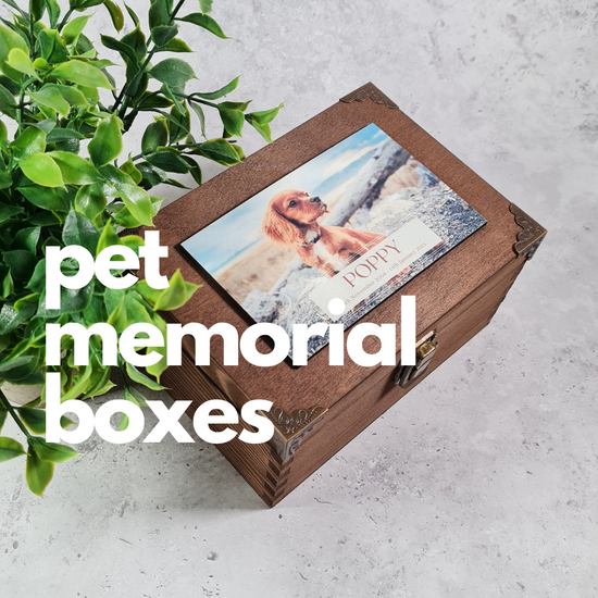 How to use a Memory Box to cherish your pet's memory after they pass away