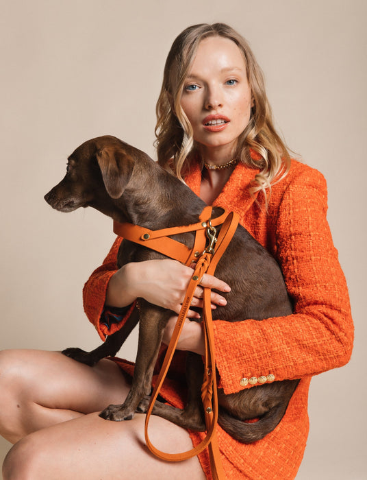 Butter Leather Dog Harness - Mango by Molly And Stitch US