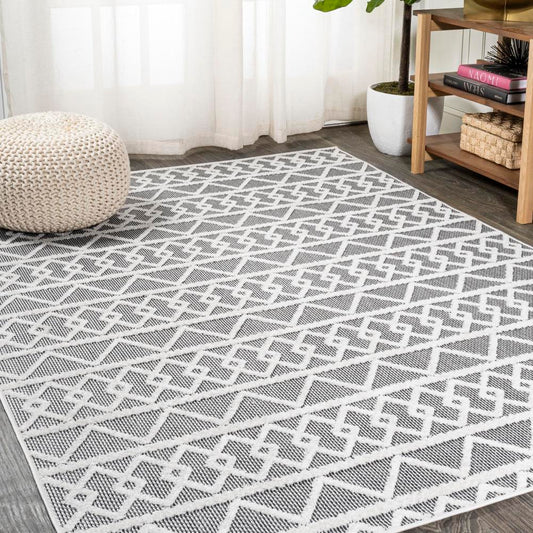 Serpa Aylan High-Low Pile Knotted Area Rug