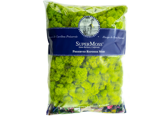 Super Moss Chartreuse Spanish Moss