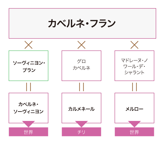 品種家系図