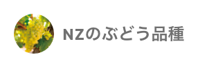 NZのぶどう品種