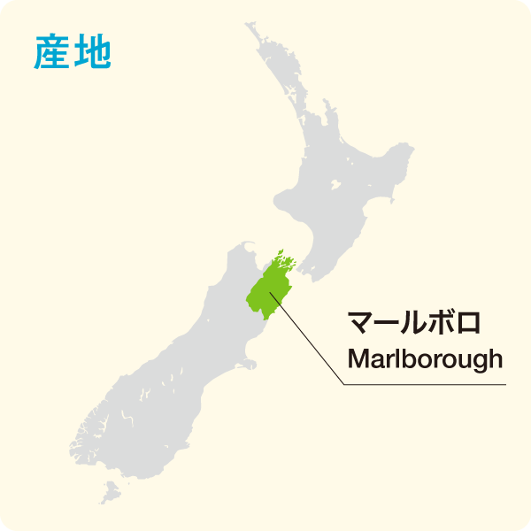 Marlborough