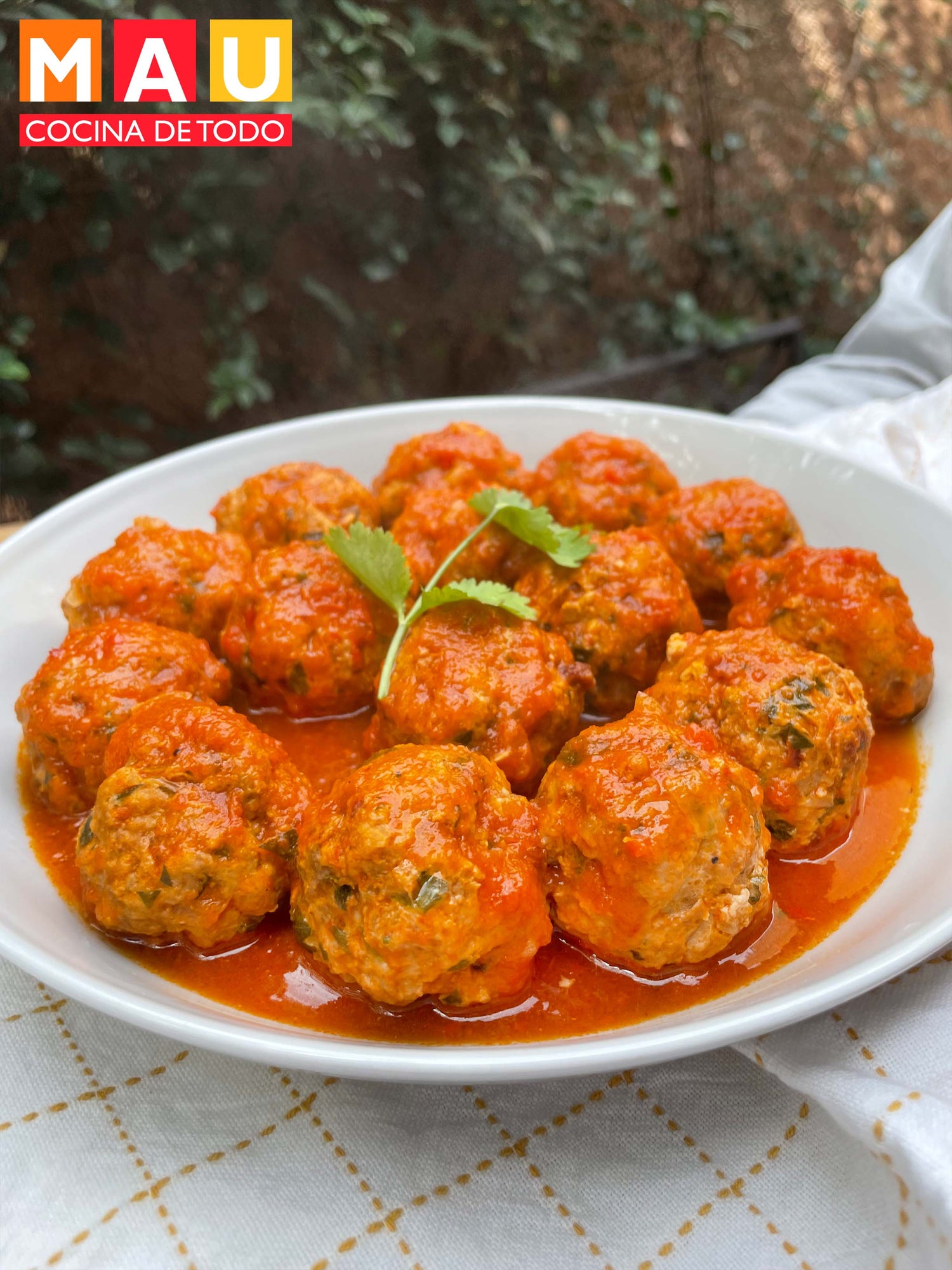 albondigas receta mexicana