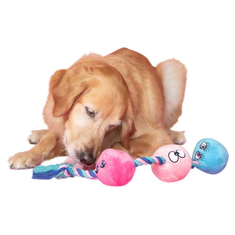 66698709104 Scruffy Tug Buttons Dog Toy 02 1707a607 07b7 4f8b 81ea a00fece73b34