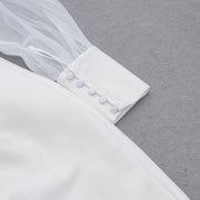 Acemysale Tulle Splice Sheer Sleeve V Neck Ruffled Mini Wrap Dress
