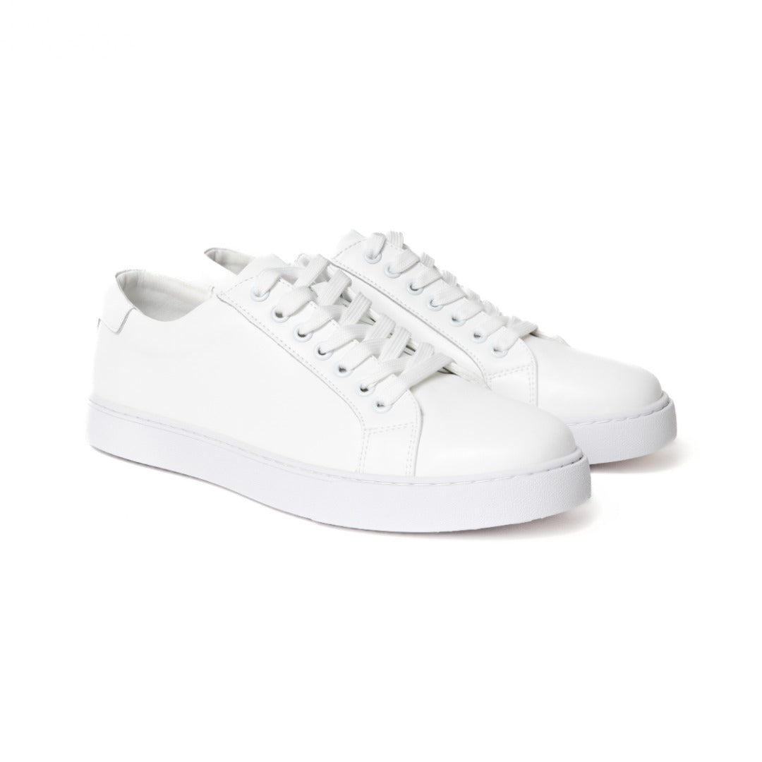 Image of Low Top Sneakers (MEN'S)