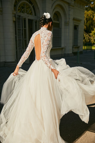 Dariela Gown and Overskirt