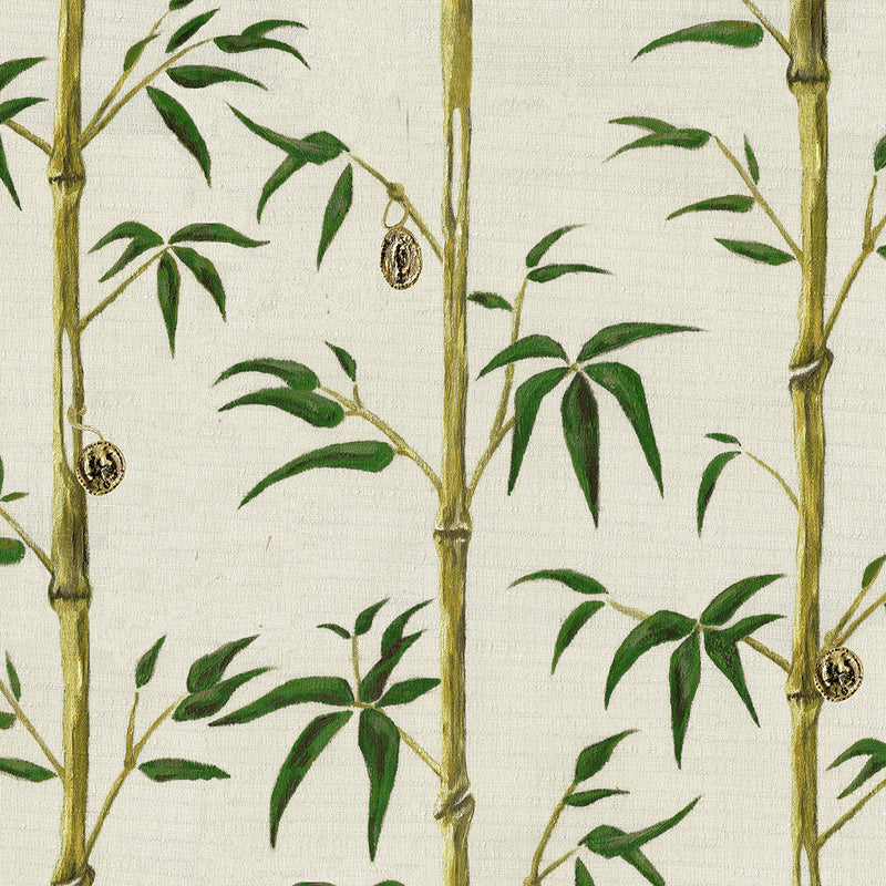 Green Bamboo, nature, HD phone wallpaper | Peakpx