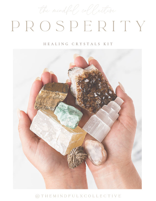 Prosperity Kit