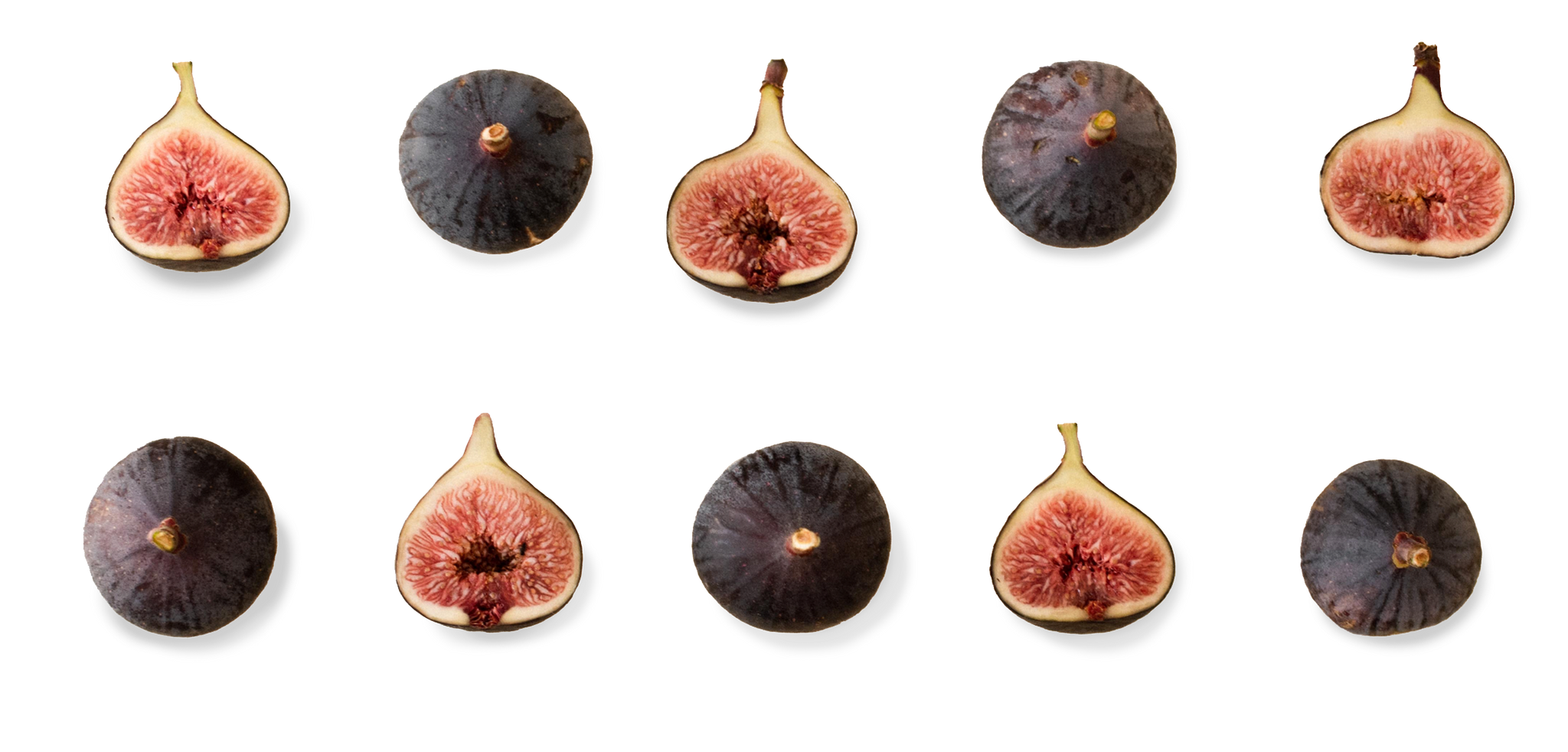 hår overskydende antik Export Fresh Figs – The Figary