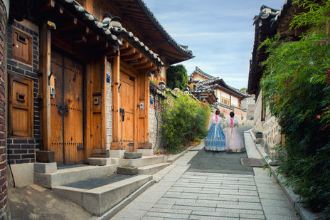 DMZ Private Tour Guide: Explore Historical Wonders with Exclusive Expertisen-hanok-village-seoul-south-korea.jpg__PID:1a553b24-9c3f-439e-a305-d259d2b203ba