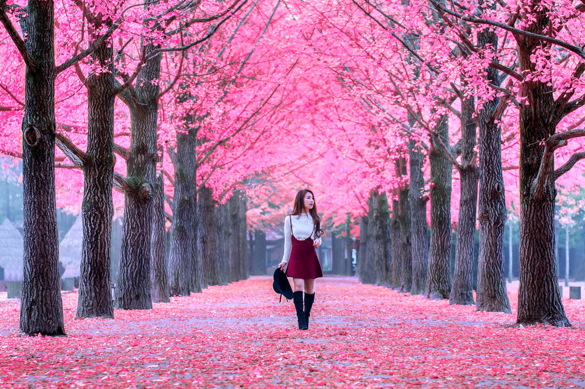 beautiful-girl-with-pink-leaves-nami-island-south-korea.jpg__PID:1921f4cd-af8d-4f59-b002-b70c81d988f5