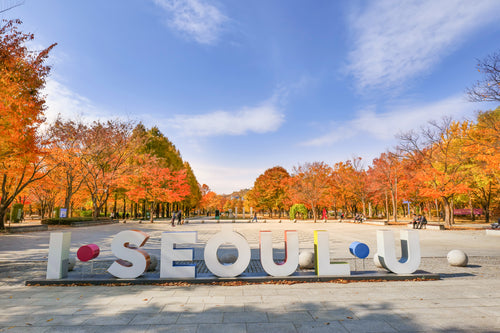 seoul-south-koreanovember-9-2020-seoul-forest-park-autumn-seoul-south-korea.jpg__PID:907b19bb-6e7b-494f-9864-99c55e80d369
