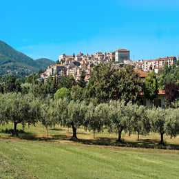 frutta e verdura a domicilio a Roma