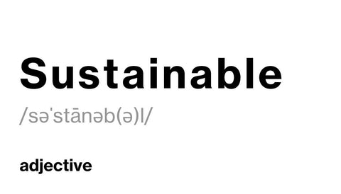 Sustainable definition
