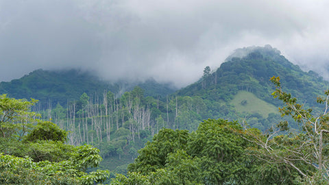 Atenas Costa Rica mountains with fog scenery landscape shot