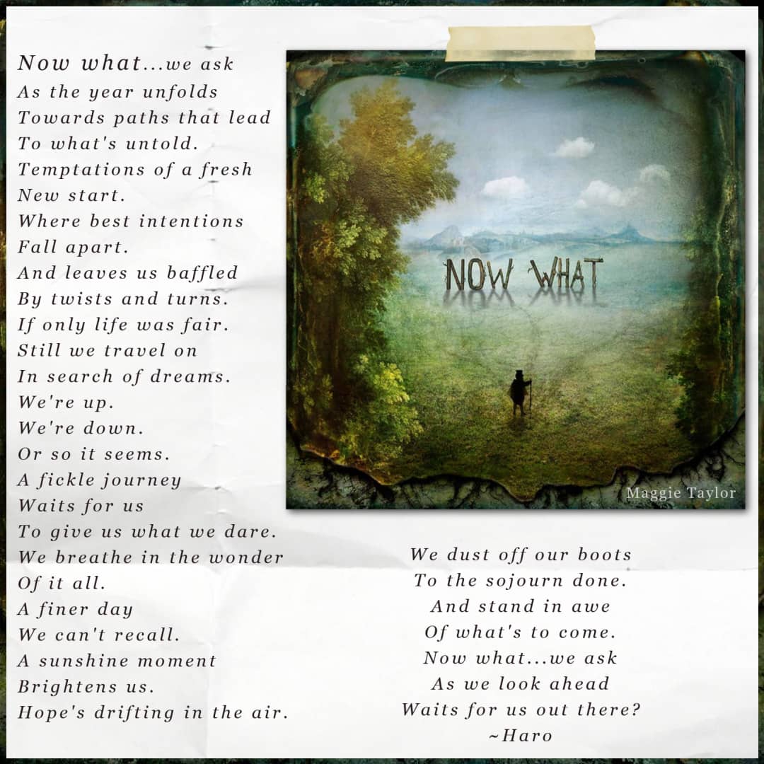 'Now What' ~ a poem inspired by Maggie Taylor's artwork 'Now What?' available at Curate Art & Design Gallery in Sorrento, Melbourne