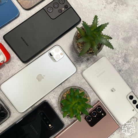 Iphones and plants on a grey background