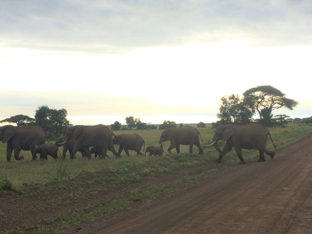 amboseli-national-park4