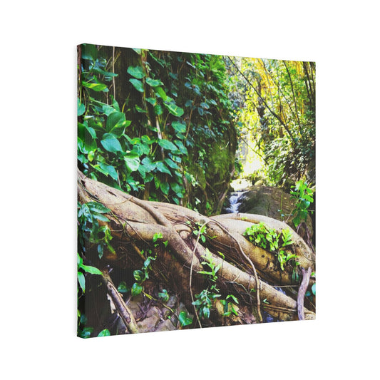 The Secret Path - Hawaii Botanical Garden Canvas Photo Tile