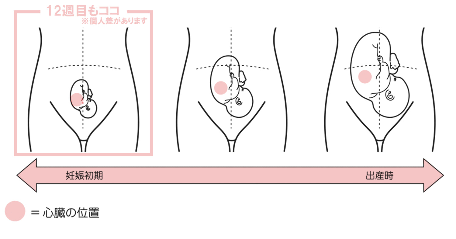 エンジェルサウンズで心音が聞こえない！？公式が使い方をご紹介 ...