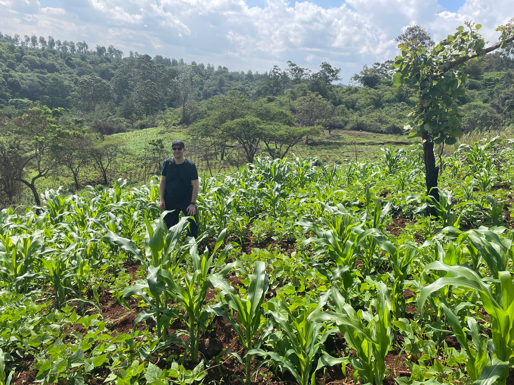 Roland Glew at the Kiriga Estate