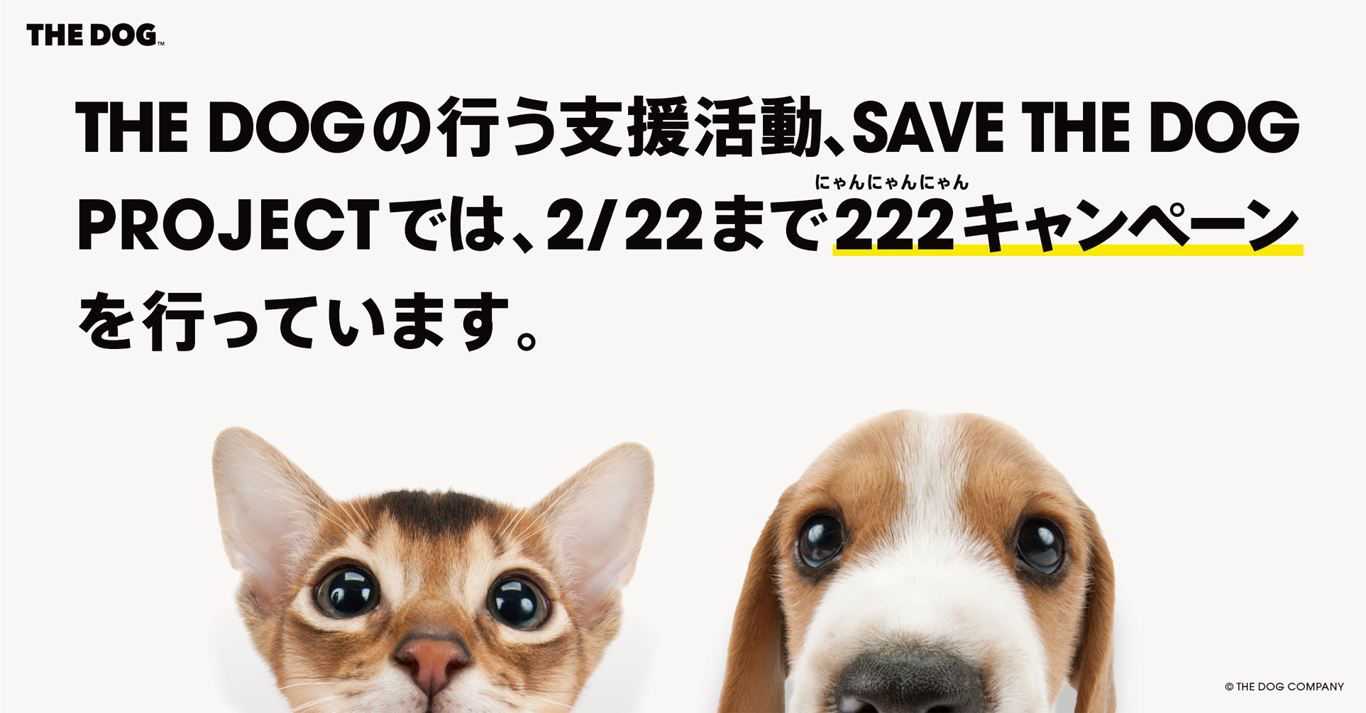 SAVE THE DOG PROJECT 111キャンペーン