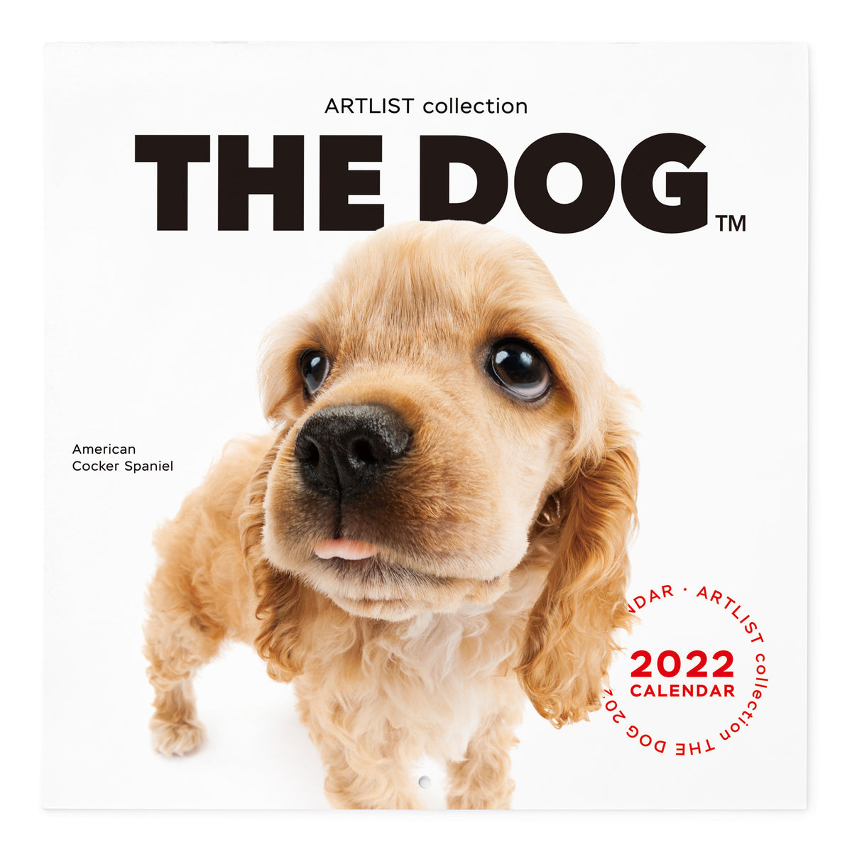 The Dog 22年 カレンダー 大判サイズ アメリカンコッカースパニエル The Dog Store