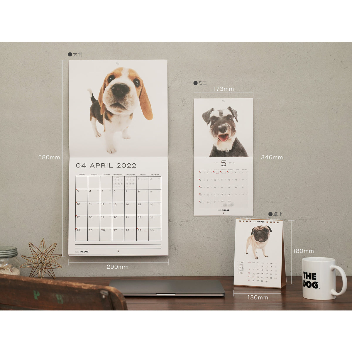 市場 予約 10月上旬発送予定 英国輸入版 ドッグカレンダー 23年 大判 ポメラニアン 壁掛け 海外輸入版 犬種別