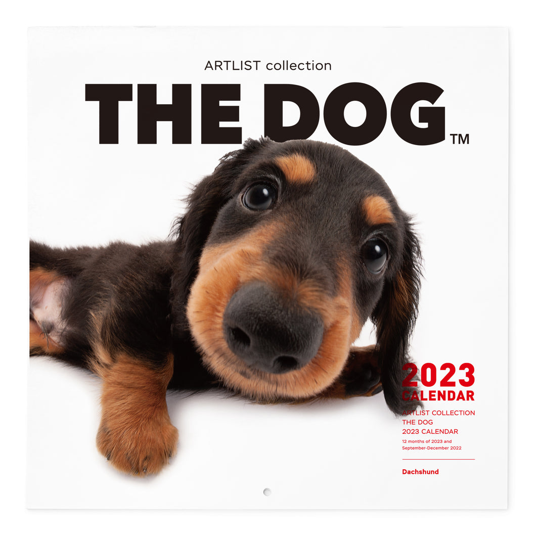 THE DOG Artlist Collection ミニチュア・ダックスフント - ブルーレイ