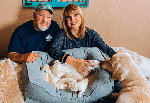 ABC Kennels owners with a recent litter of White Labrador Puppies