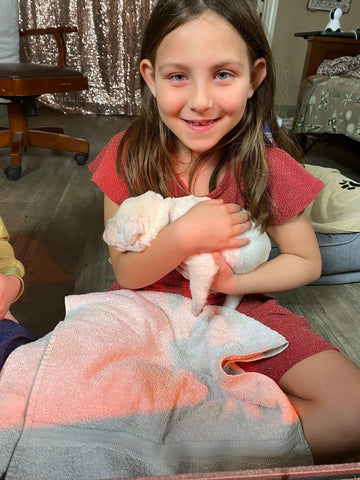 Our grand daughter with a recently born white Labrador Puppy