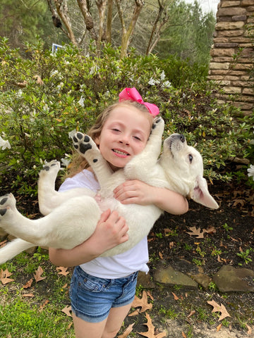 Our Grand Daughter holding white Labrador retriever puppy