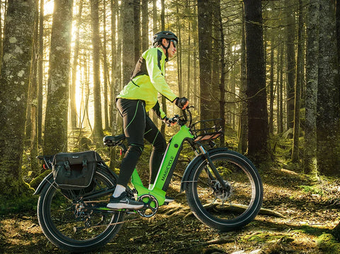 Ebike SUV best off road ebike with soft tail