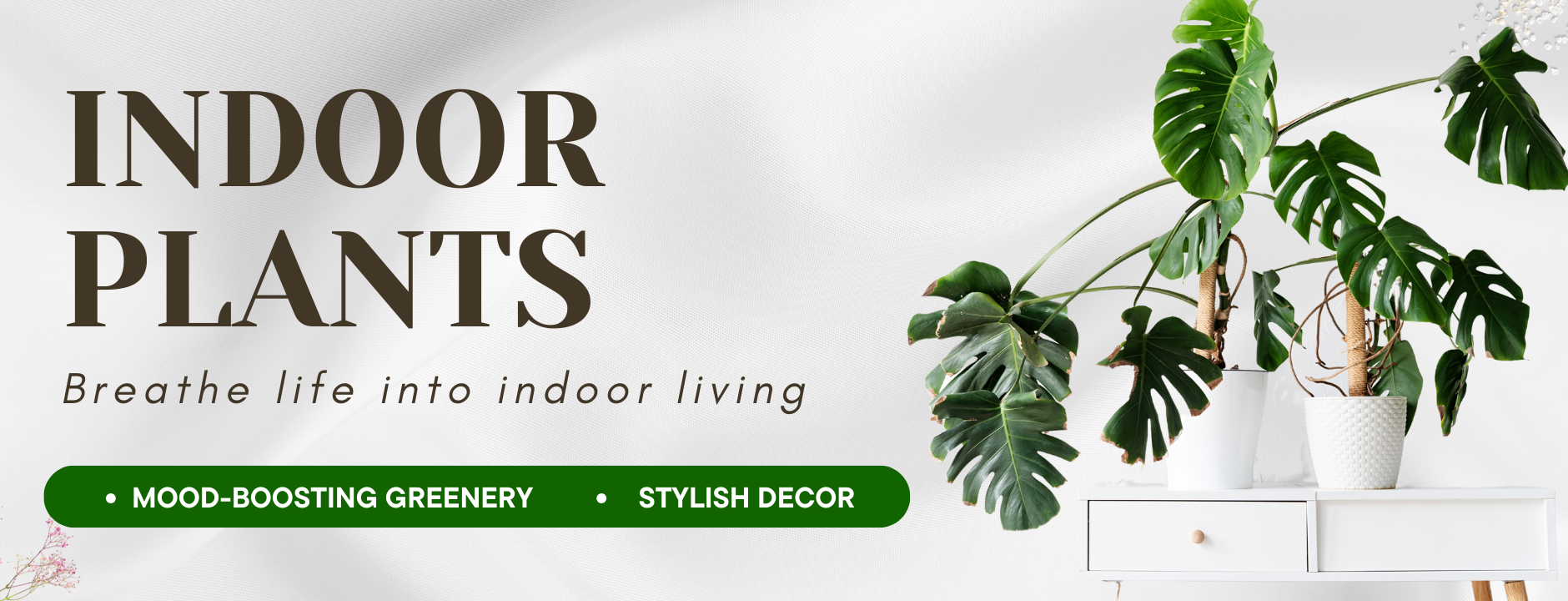 
    Buy Indoor Plants Online In India At Best Price | Gardengram
    
    

    
