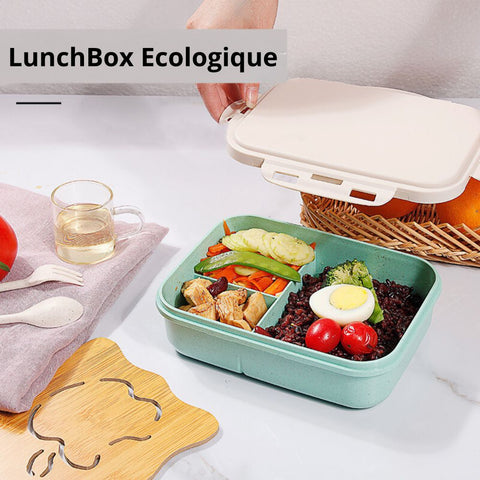 LunchBox-écologique
