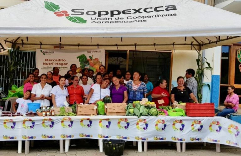 2018-group-soppexcca-mercaditog