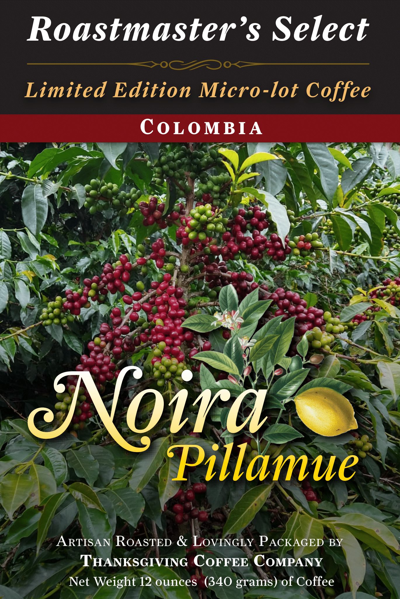 Colombia_NoiraPillamue-Page-1