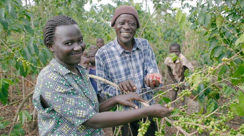 Uganda Farmers