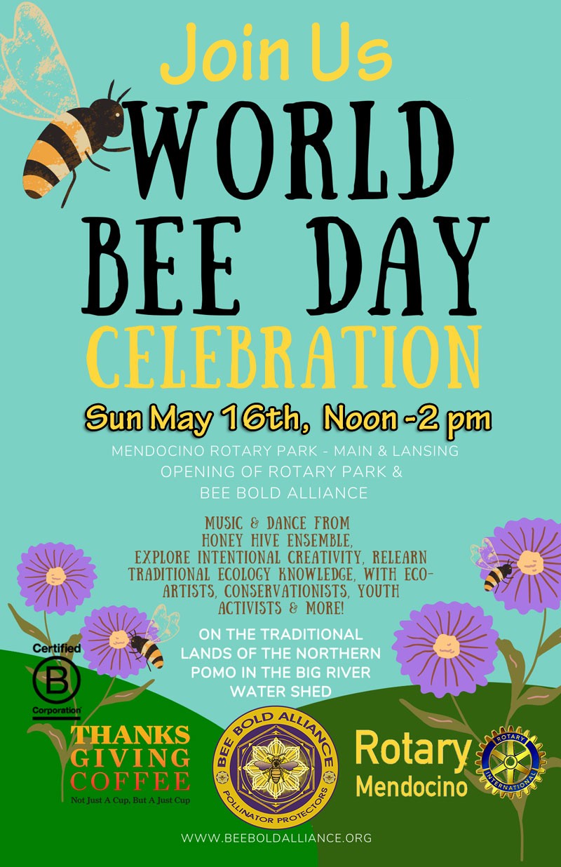 World Bee Day