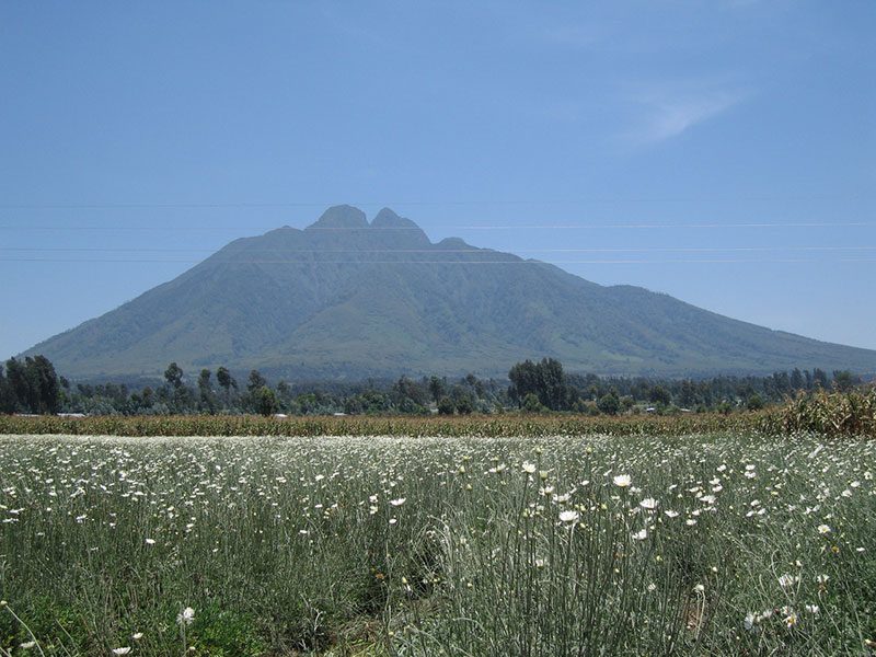 Mountain Rwanda